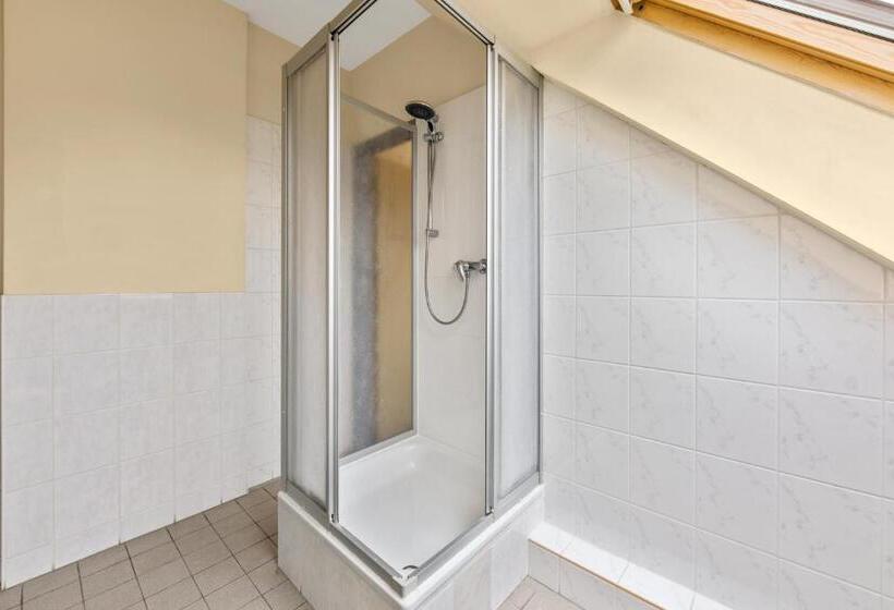 اتاق استاندارد یک نفره, Comenius