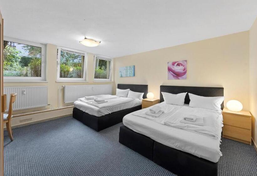 اتاق اکونومی, Comenius