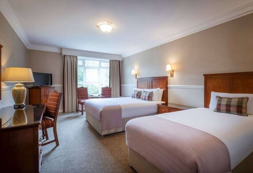 スタンダードルーム, Court Yard