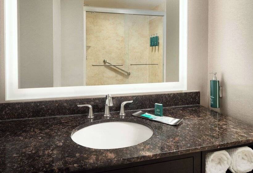 Люкс, Doubletree Suites By Hilton Hotel Detroit Downtown Fort Shelby