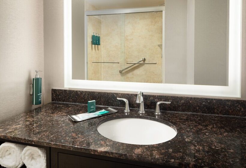 سوییت, Doubletree Suites By Hilton Hotel Detroit Downtown   Fort Shelby