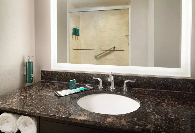 سوییت, Doubletree Suites By Hilton Hotel Detroit Downtown   Fort Shelby