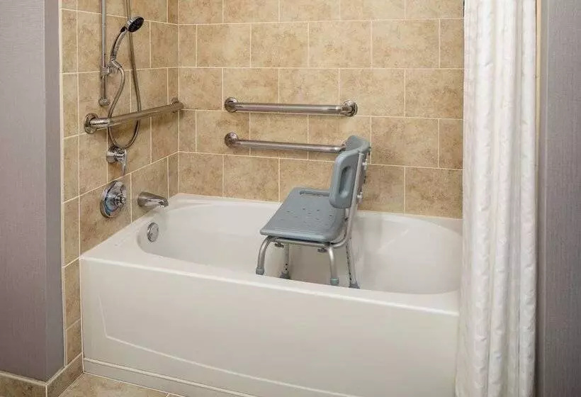 سوئیت برای معلولان, Doubletree Suites By Hilton Hotel Detroit Downtown   Fort Shelby