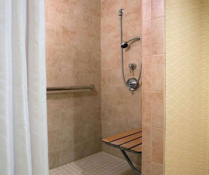 سوئیت برای معلولان, Doubletree Suites By Hilton Hotel Detroit Downtown   Fort Shelby