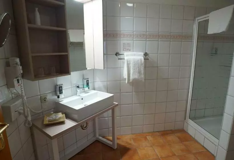 Standard Yhden Hengen Huone, Dreiklang Business & Spa Resort