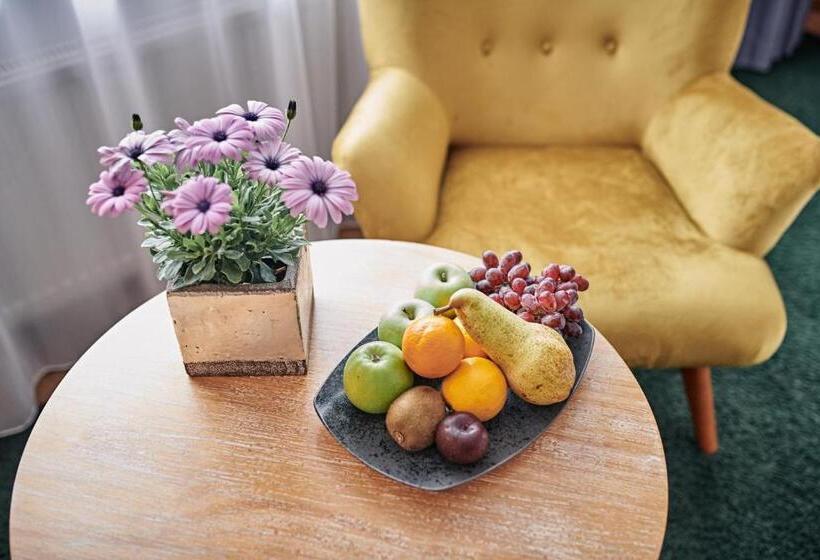 Номер Комфорт, Dreiklang Business & Spa Resort