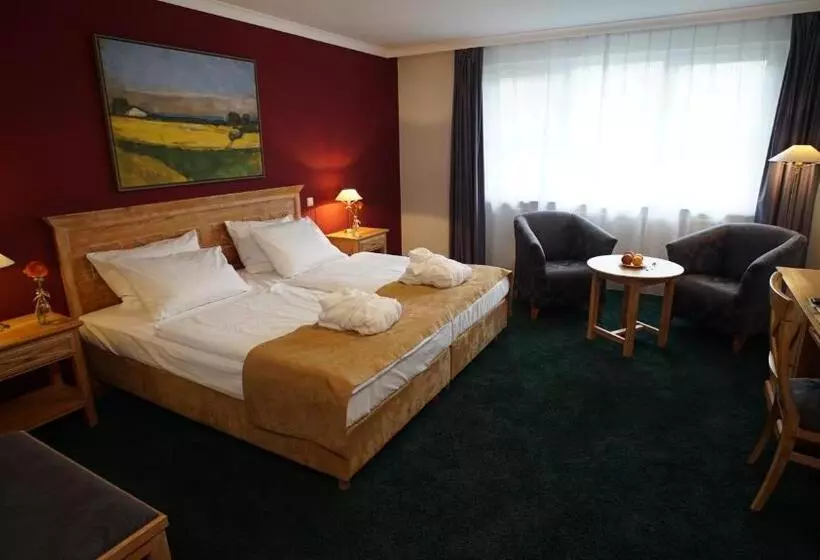 Classic-huone, Dreiklang Business & Spa Resort