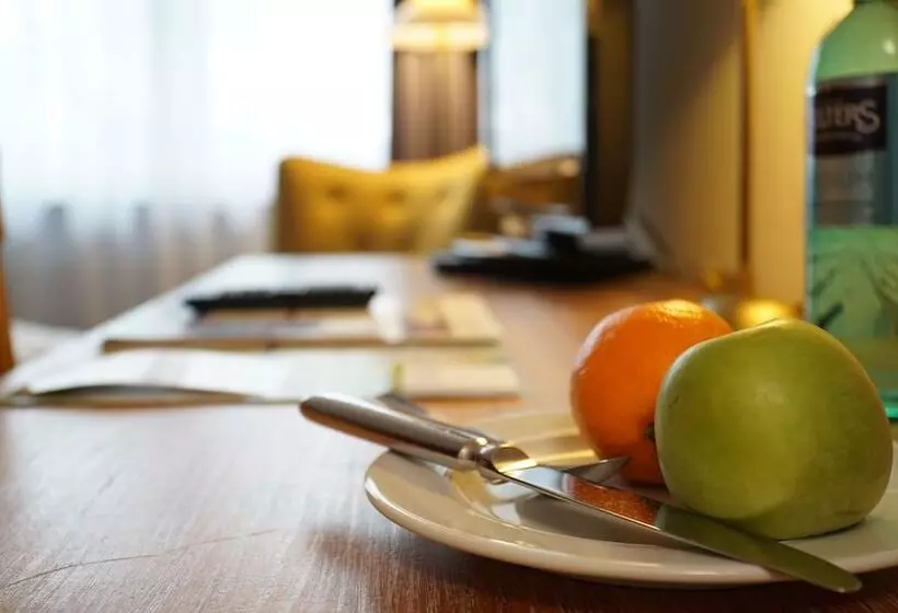 Standard Yhden Hengen Huone, Dreiklang Business & Spa Resort