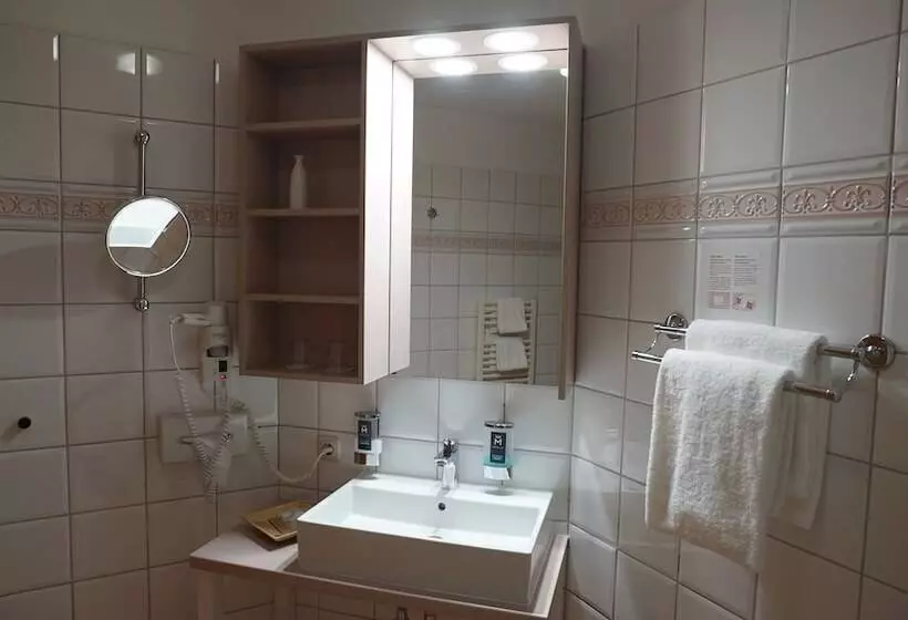 Standard Yhden Hengen Huone, Dreiklang Business & Spa Resort