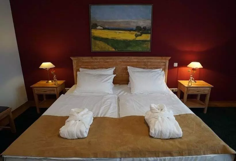 Classic-huone, Dreiklang Business & Spa Resort