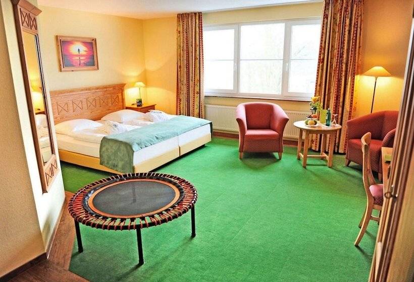 古典房间, Dreiklang Business & Spa Resort