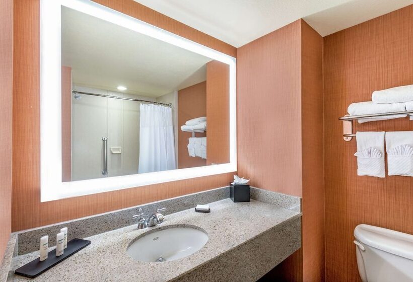프리미엄 스위트, Embassy Suites By Hilton St. Louis St. Charles