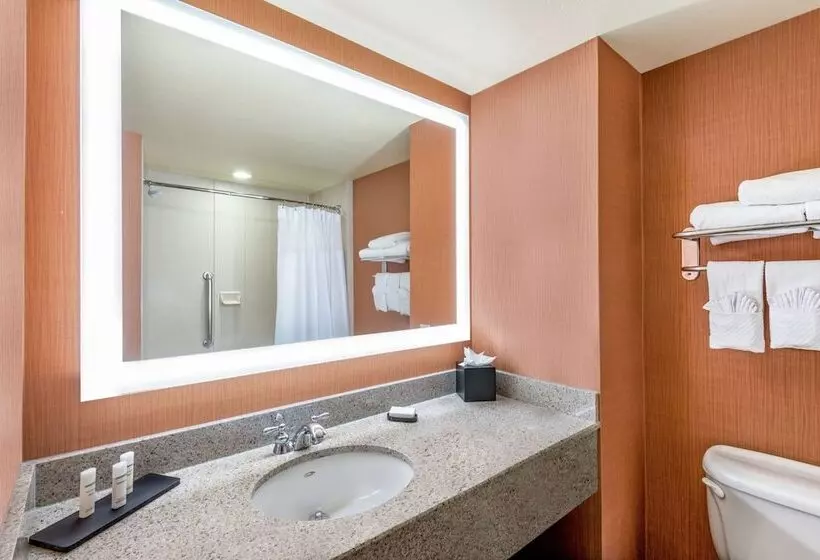 プレミアムスイート, Embassy Suites By Hilton St. Louis St. Charles