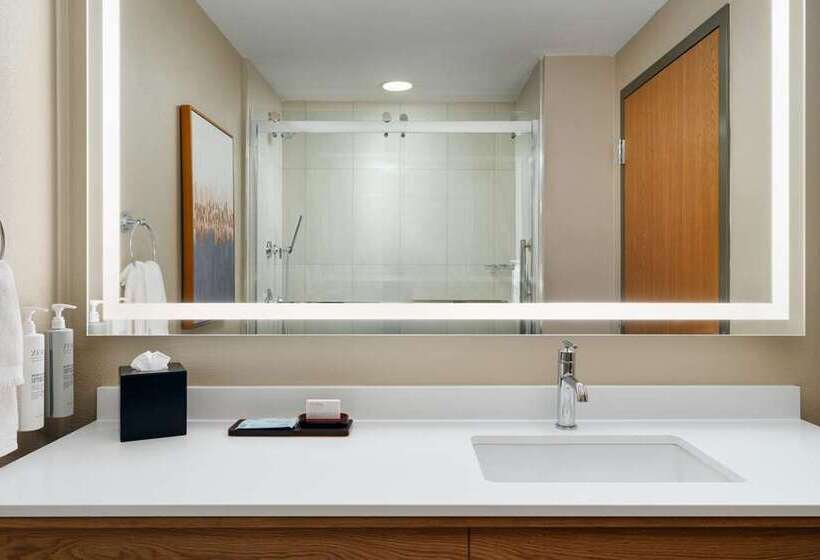 스위트 킹사이즈 침대, Embassy Suites By Hilton St. Louis St. Charles