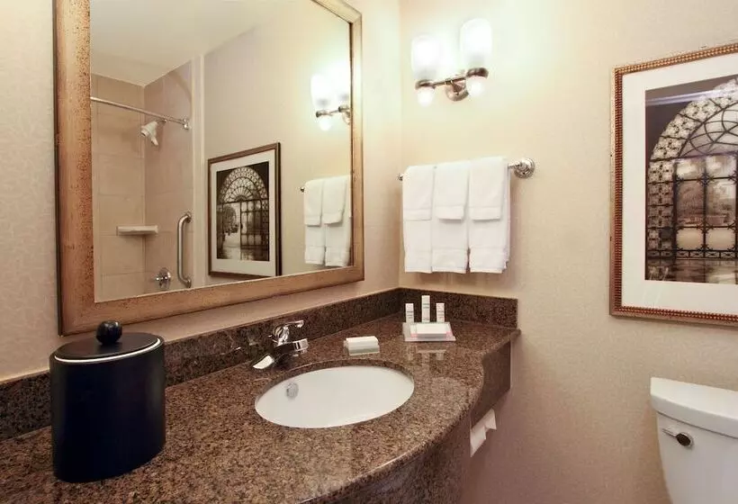スタンダードルーム, Hilton Garden Inn Beaumont, Tx
