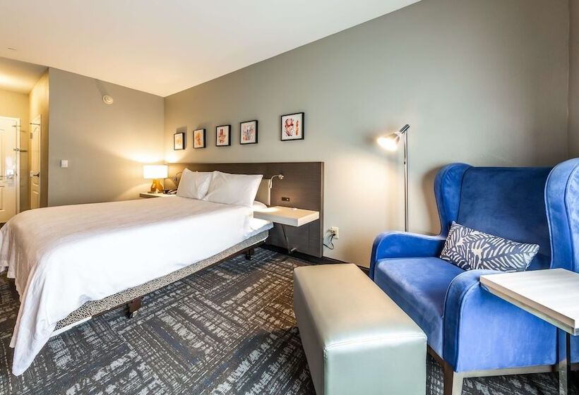 스탠다드 룸, Hilton Garden Inn Beaumont, Tx