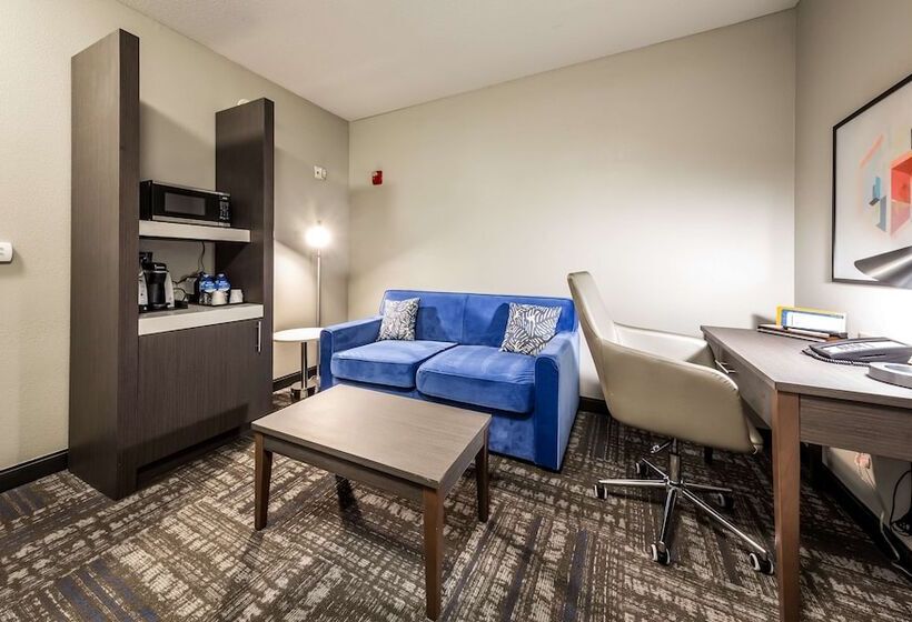 장애인을 위한 스탠다드 룸, Hilton Garden Inn Beaumont, Tx