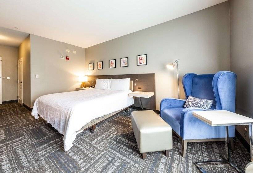 장애인을 위한 스탠다드 룸, Hilton Garden Inn Beaumont, Tx