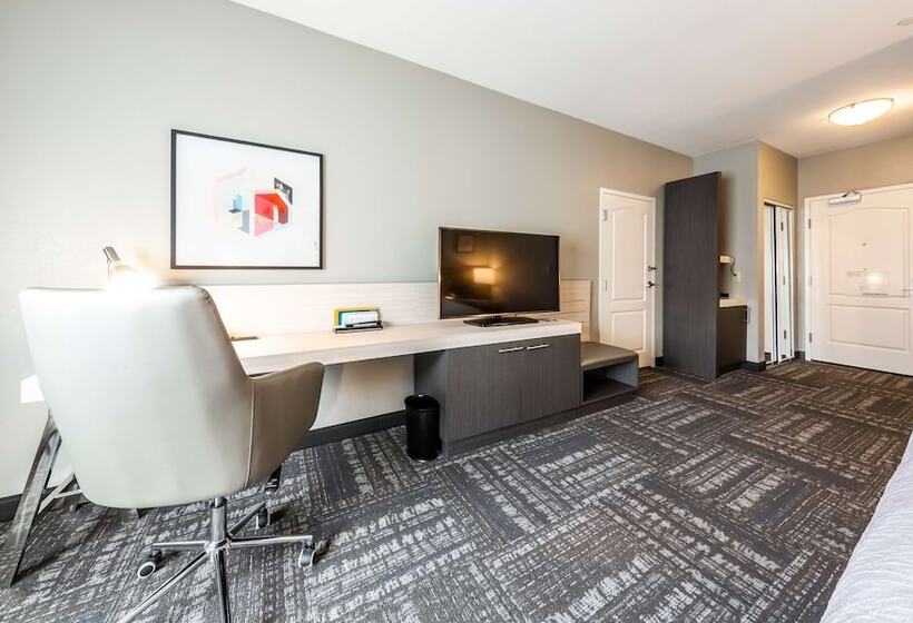 חדר סטנדרט מותאם לאדם עם מוגבלויות, Hilton Garden Inn Beaumont, Tx