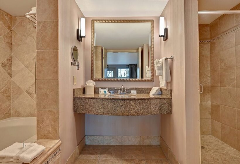 جناح, Hilton Garden Inn Boise/eagle