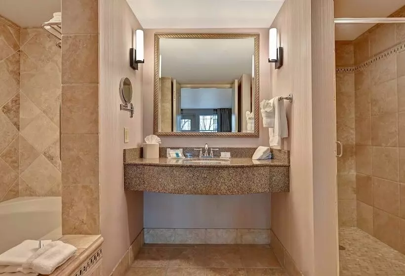 スイート, Hilton Garden Inn Boise/eagle