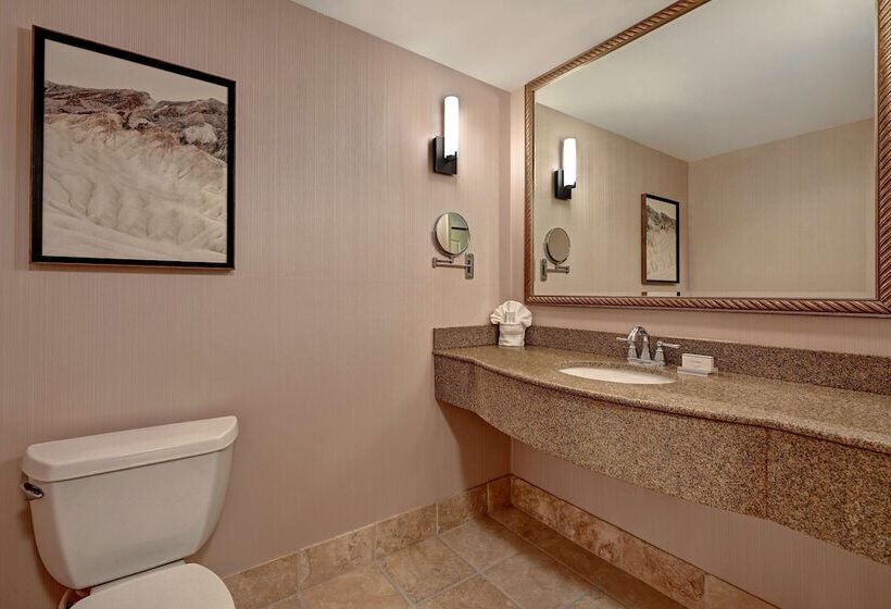 جناح, Hilton Garden Inn Boise/eagle