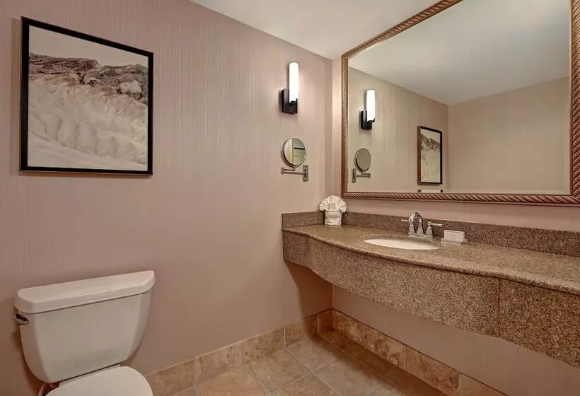 スイート, Hilton Garden Inn Boise/eagle