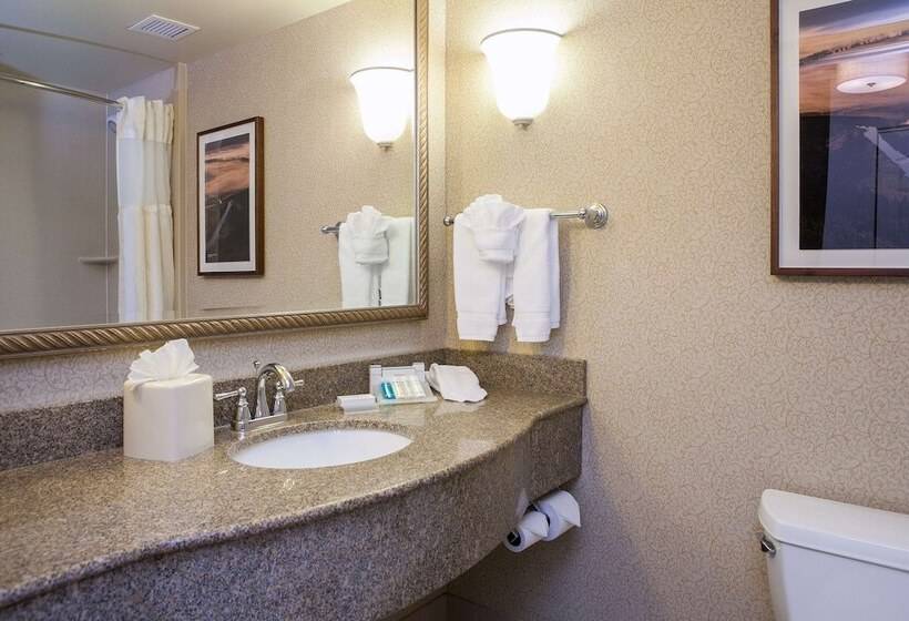 جناح جونيور, Hilton Garden Inn Boise/eagle