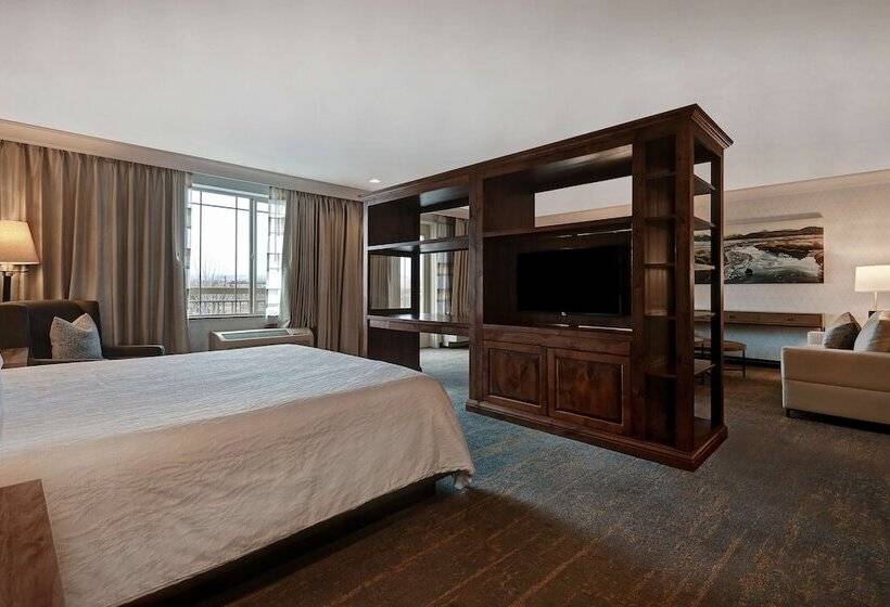 جناح مزود بجاكوزى, Hilton Garden Inn Boise/eagle