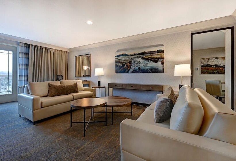 Люкс с гидромассажем, Hilton Garden Inn Boise/eagle