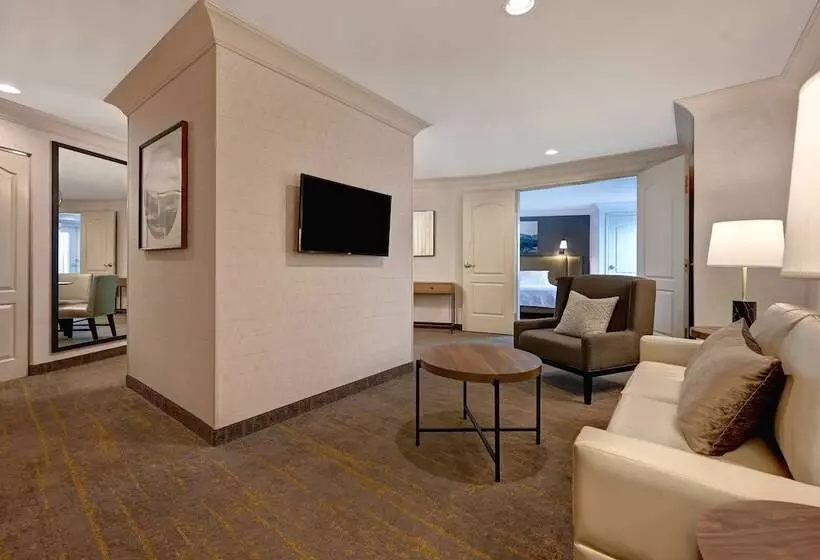 スイート, Hilton Garden Inn Boise/eagle