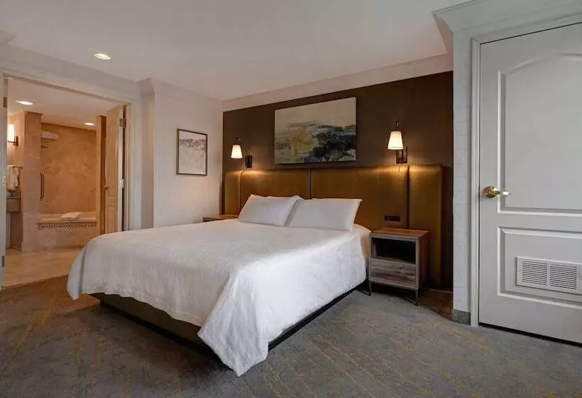 スイート, Hilton Garden Inn Boise/eagle