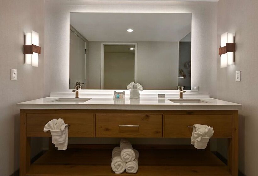 جناح, Hilton Garden Inn Boise/eagle