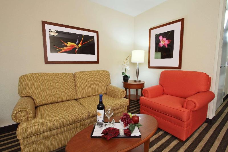 Полулюкс, Hilton Garden Inn Fort Lauderdale Airport Cruise Port