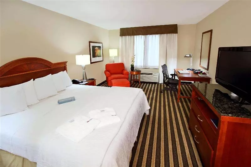 Standard-huone King-vuode, Hilton Garden Inn Fort Lauderdale Airport Cruise Port