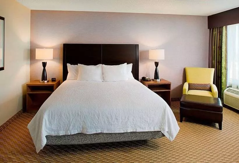 ダブルベッドスタンダードルーム, Hilton Garden Inn Hartford North/bradley Int L Airport