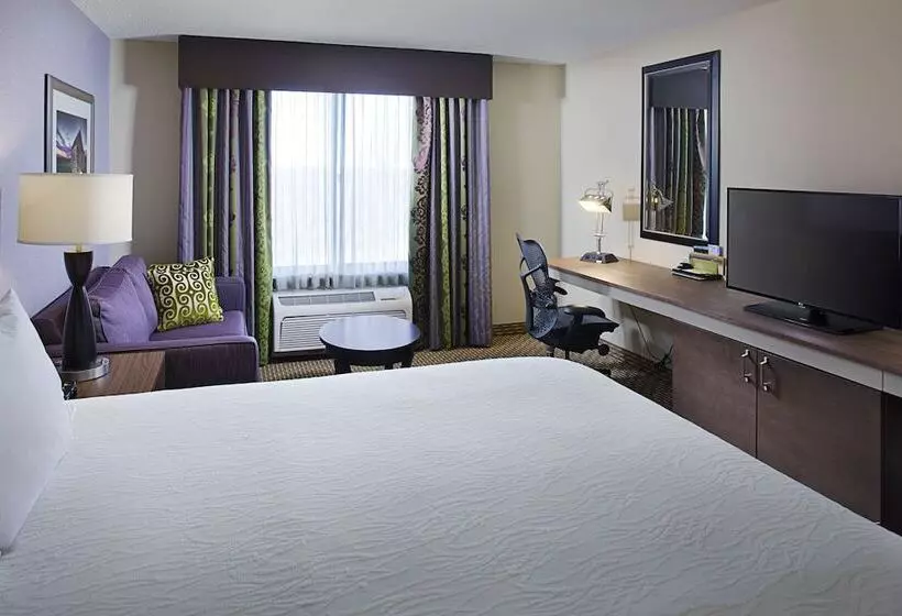 ダブルベッドスタンダードルーム, Hilton Garden Inn Hartford North/bradley Int L Airport