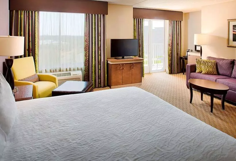 ダブルベッドスタンダードルーム, Hilton Garden Inn Hartford North/bradley Int L Airport