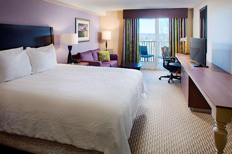 اتاق استاندارد با تخت بزرگ, Hilton Garden Inn Hartford North/bradley Int L Airport