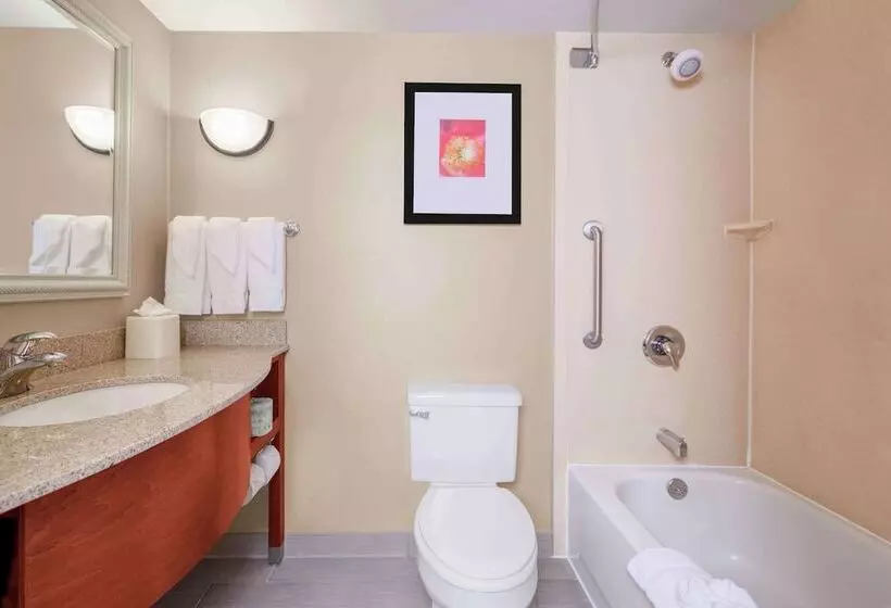 ２ダブルベッドのスタンダードルーム, Hilton Garden Inn Independence