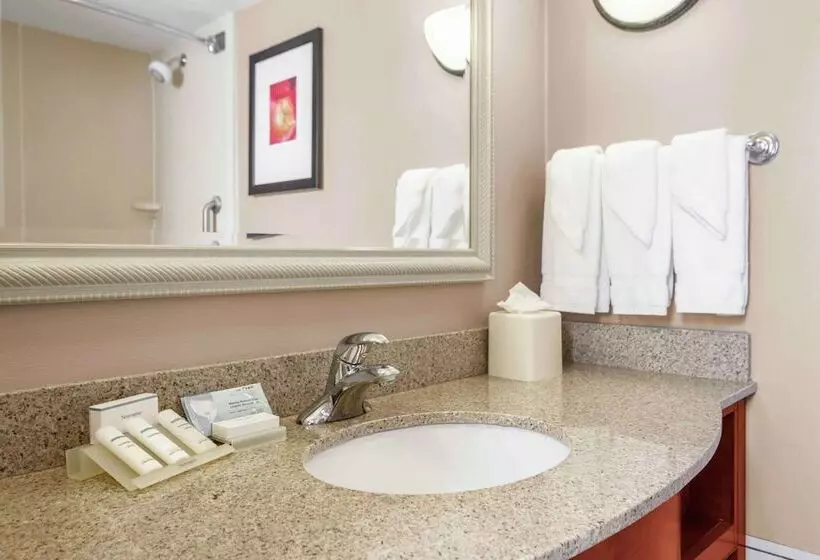 ２ダブルベッドのスタンダードルーム, Hilton Garden Inn Independence