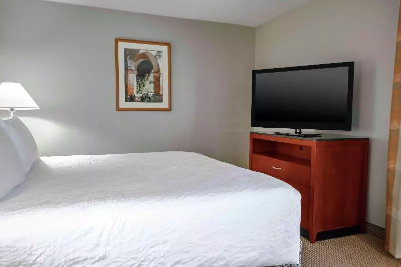 キングサイズベッドのスイートルーム, Hilton Garden Inn Independence