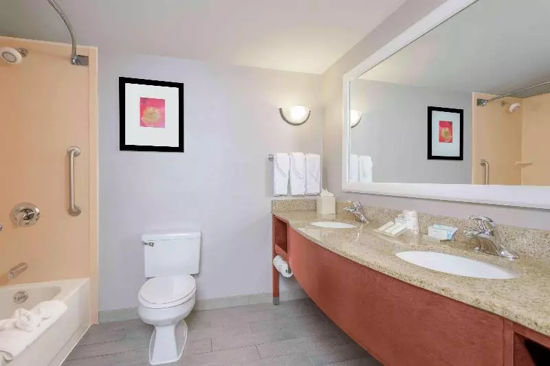 キングサイズベッドのスイートルーム, Hilton Garden Inn Independence