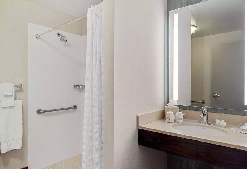 スイート, Hilton Garden Inn New Orleans French Quarter/cbd