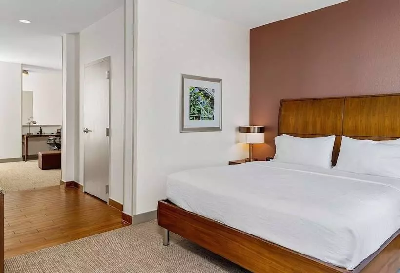 スイート, Hilton Garden Inn New Orleans French Quarter/cbd