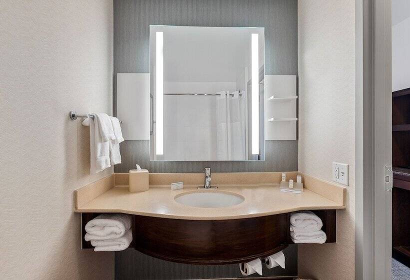 اتاق استاندارد با 2 تخت دوبل, Hilton Garden Inn New Orleans French Quarter/cbd