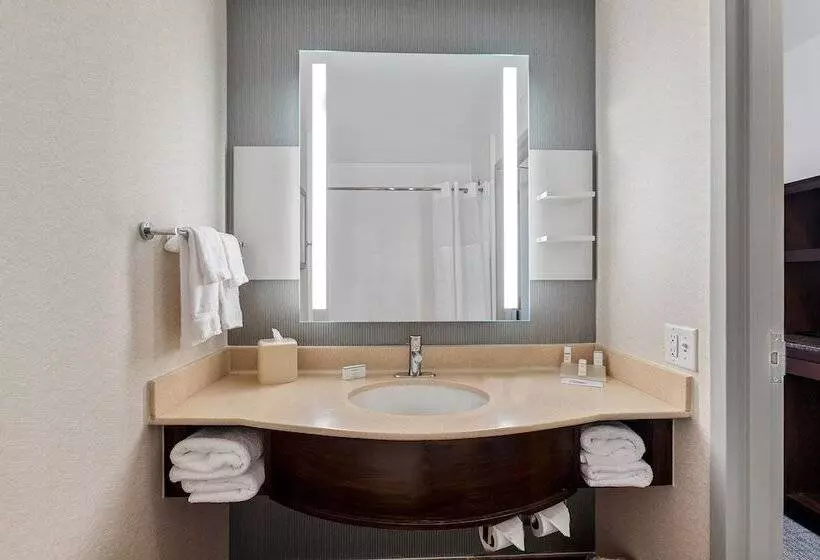 2ダブルベッドのスタンダードルーム, Hilton Garden Inn New Orleans French Quarter/cbd
