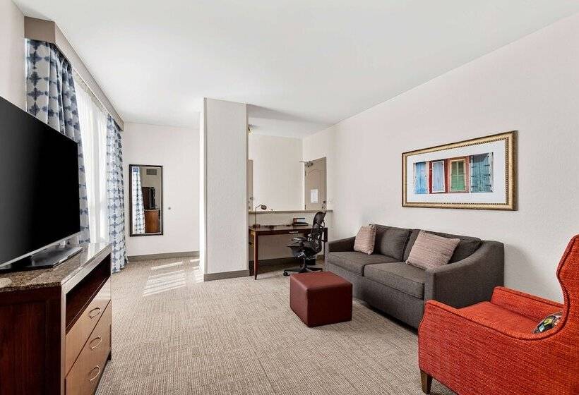 Люкс Адаптированный для Инвалидов, Hilton Garden Inn New Orleans French Quarter/cbd