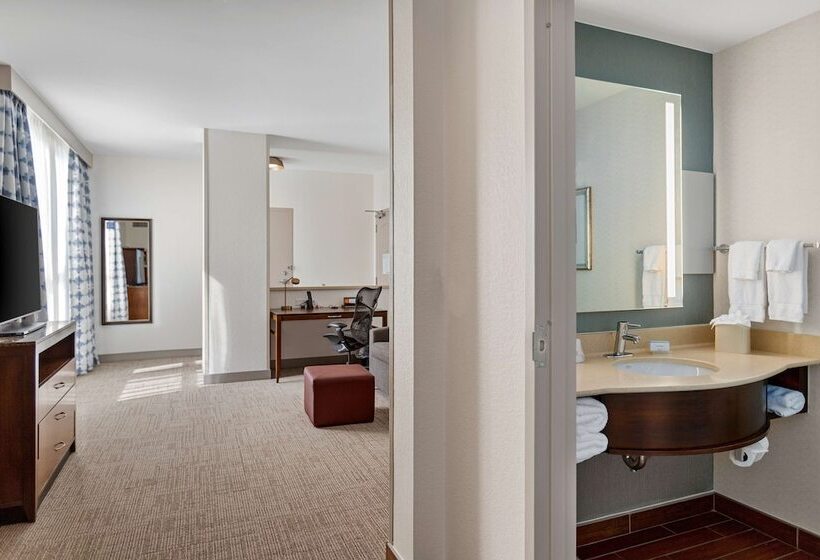 Люкс Адаптированный для Инвалидов, Hilton Garden Inn New Orleans French Quarter/cbd