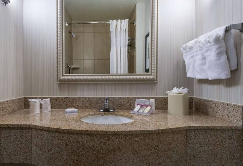 スタンダードルーム, Hilton Garden Inn Tallahassee Central